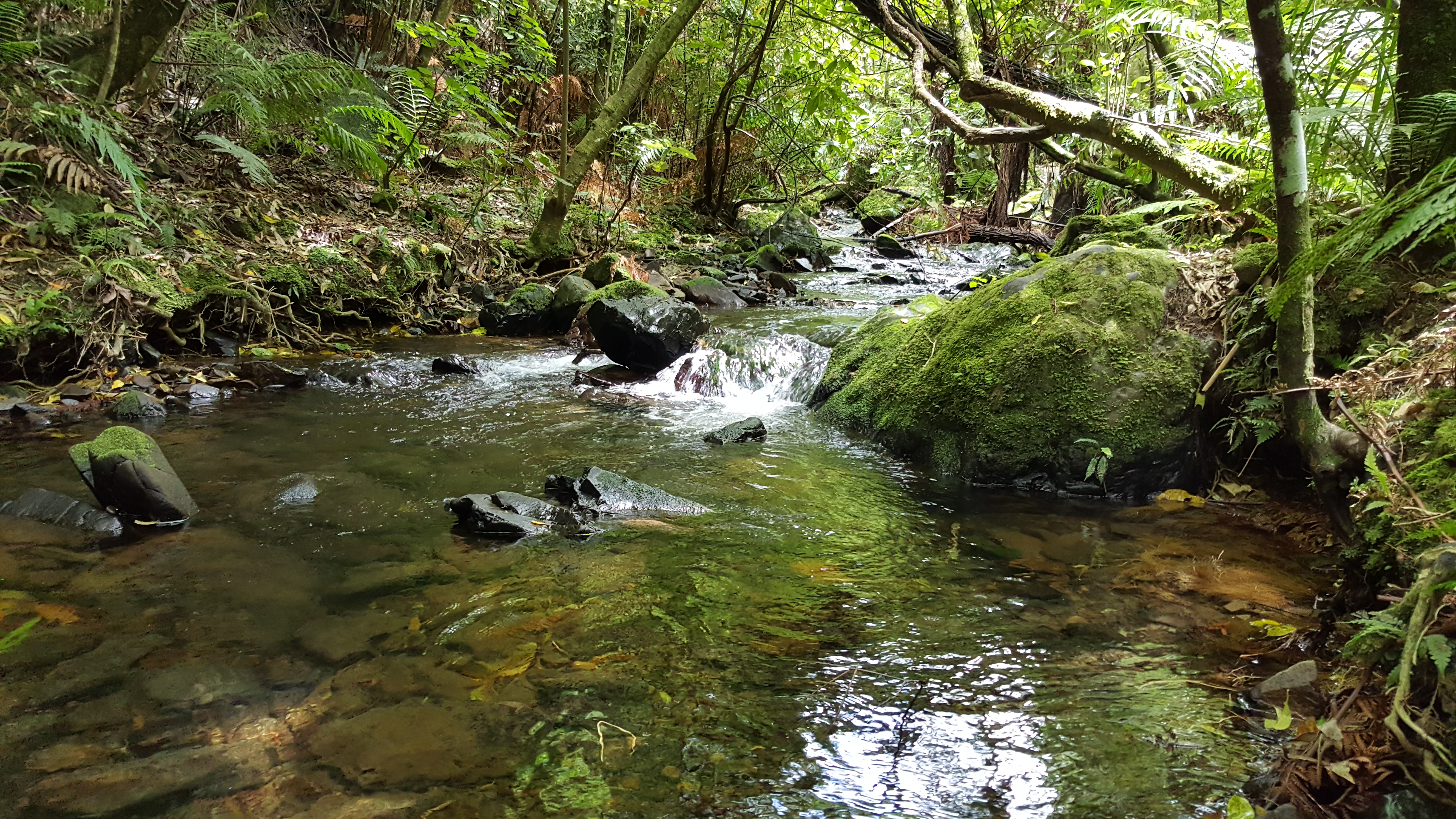 Thoughts by Hutt River