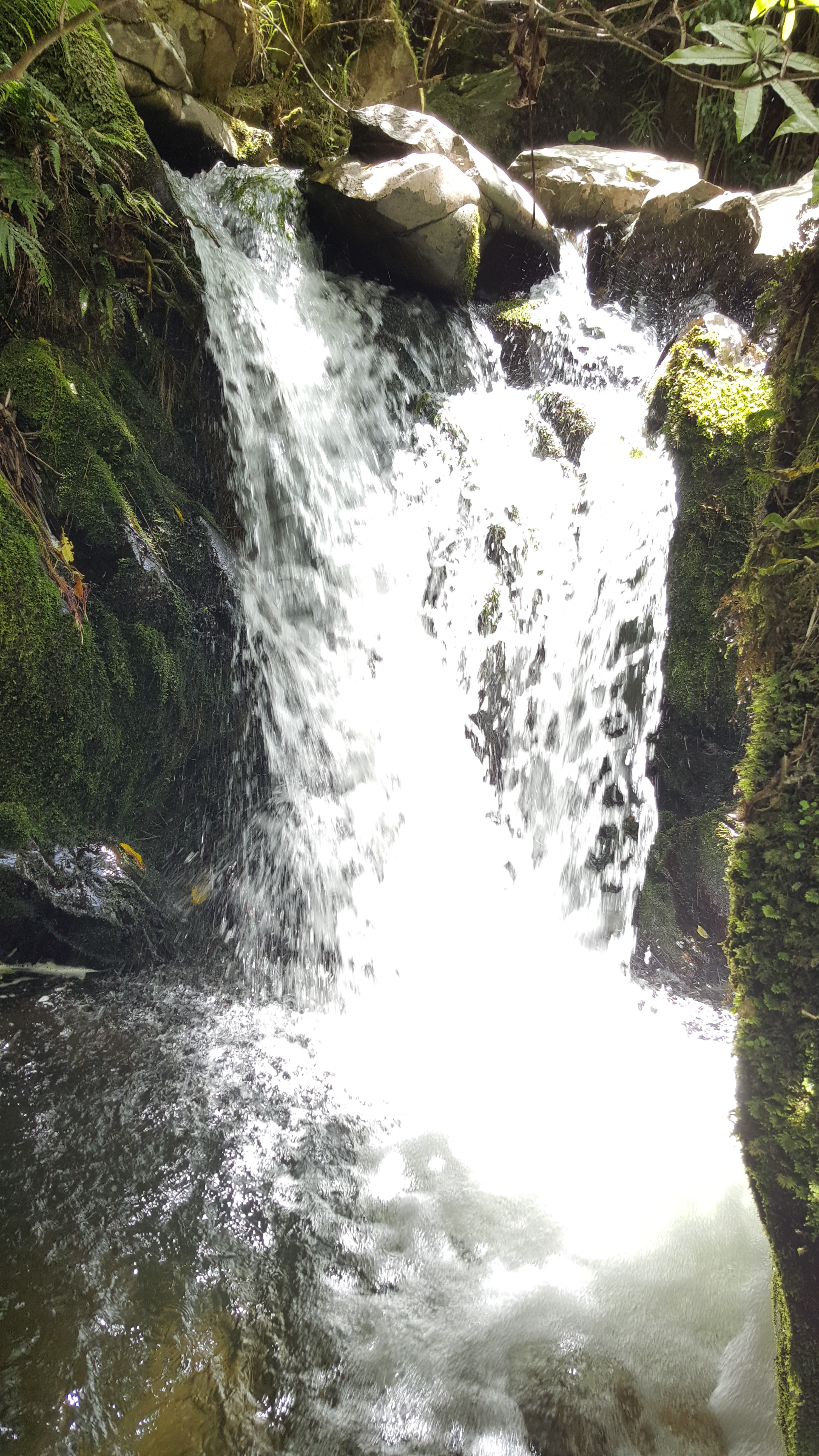 Watery Invite
