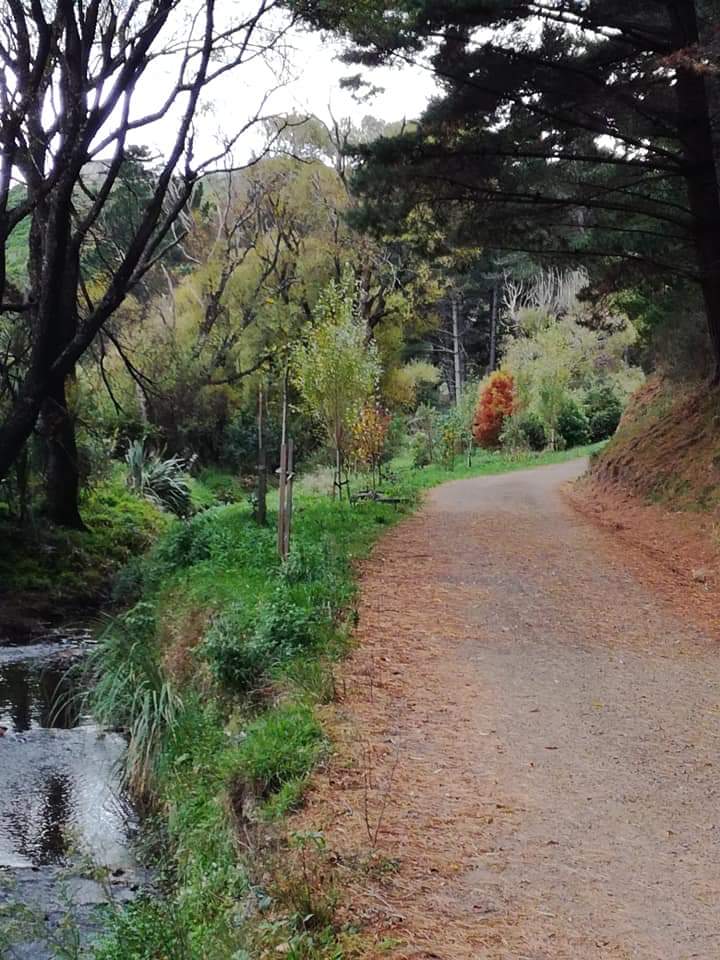 A Morning Walk