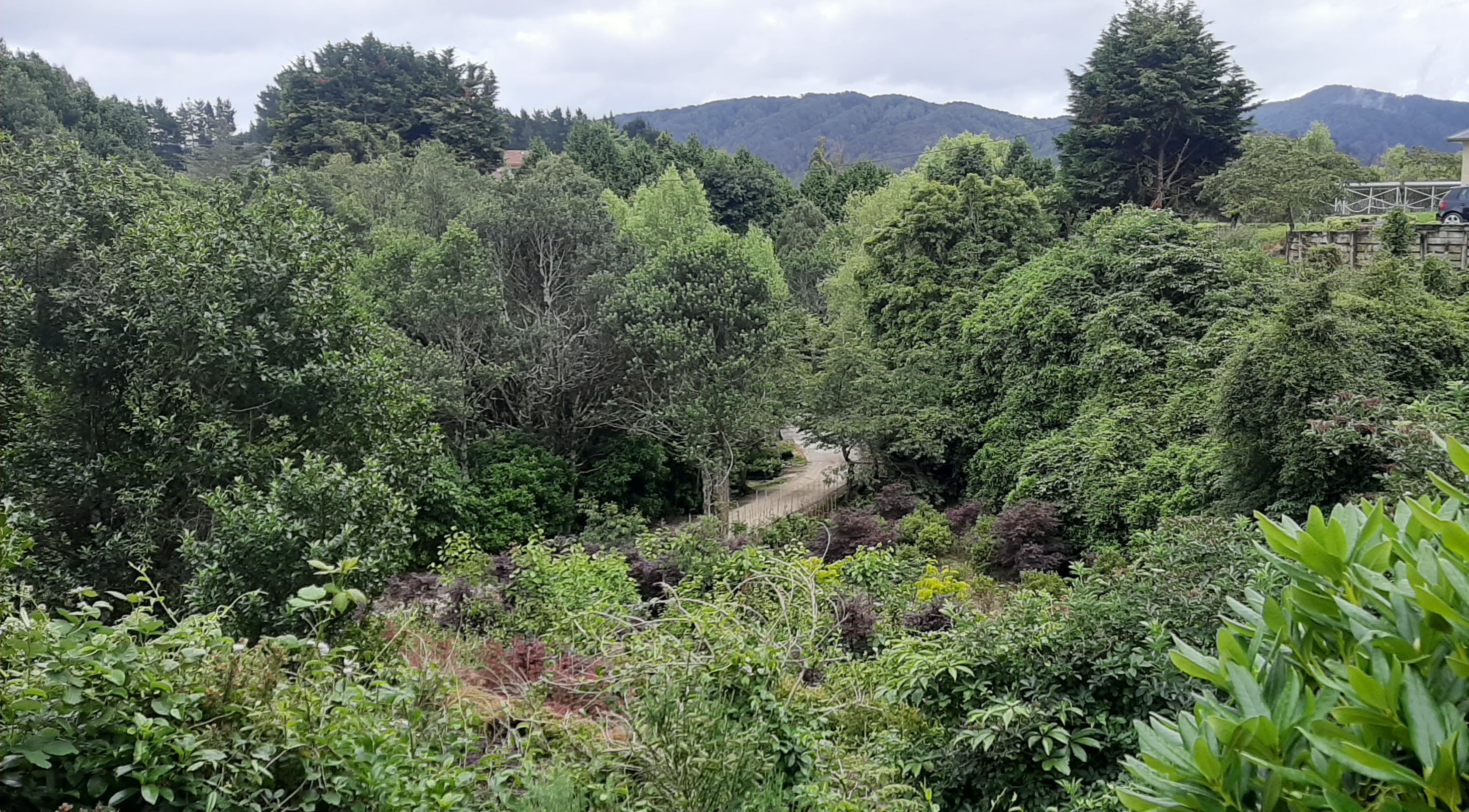 The Meandering Pathway